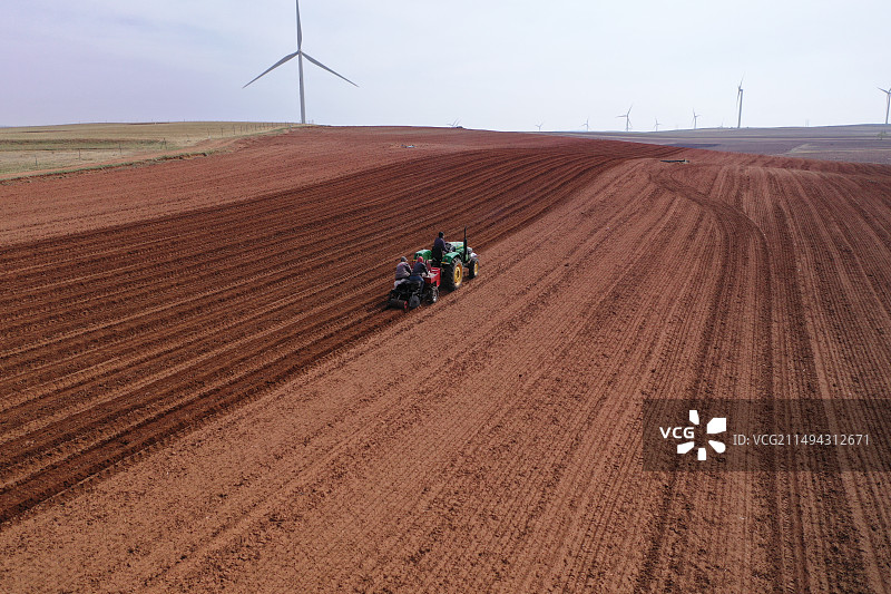航拍内蒙古呼和浩特武川县农业农民开着四轮拖拉机春耕耕地在红土地种土豆图片素材
