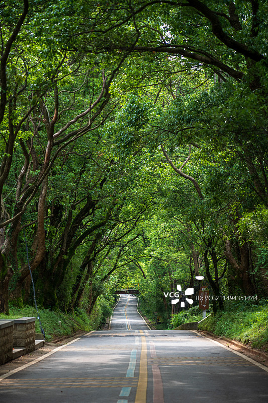 江西鄱阳湖国家湿地公园图片素材