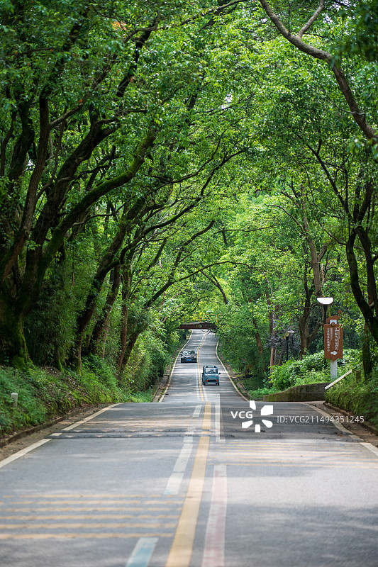 江西鄱阳湖国家湿地公园图片素材