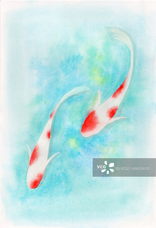 手绘水彩锦鲤插画图片素材