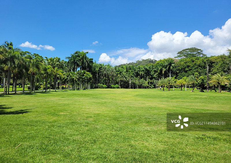 公园生态好图片素材