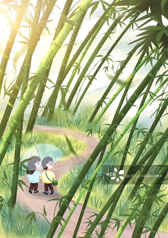 二十四节气谷雨竹林漫步图片素材