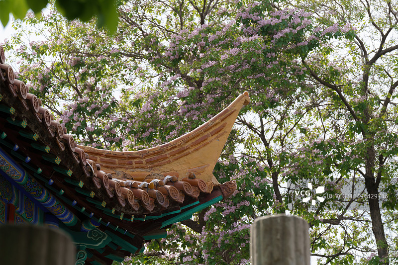 徐州 户部山戏马台图片素材