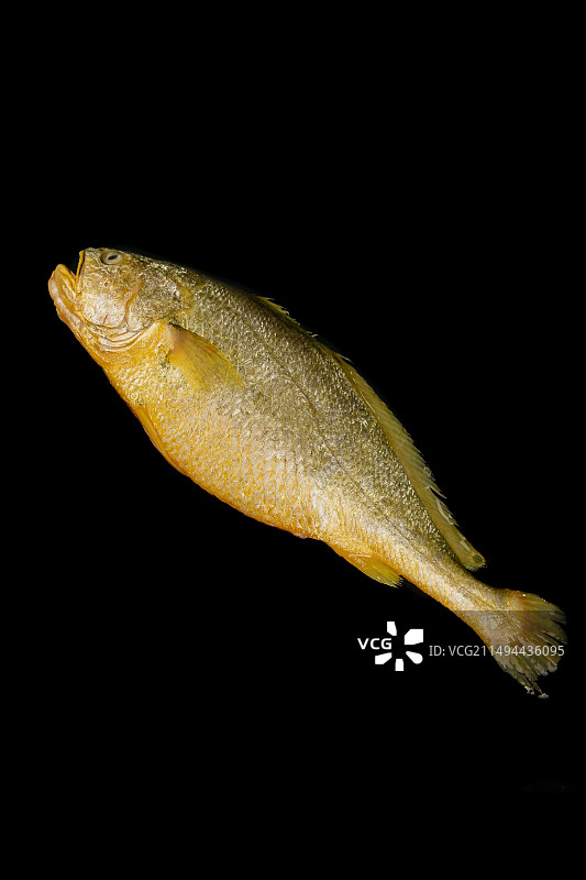 黄花鱼图片素材