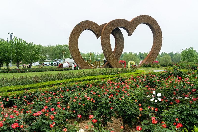 泰山花海春满园图片素材