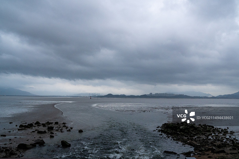 退潮后的深圳湾海滩图片素材