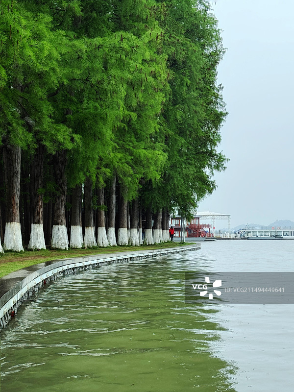 雨中的东湖——武汉东湖风景区图片素材