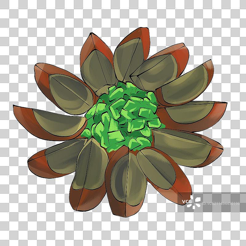 河北皮蛋白洋淀松花蛋土特产美食插画图片素材