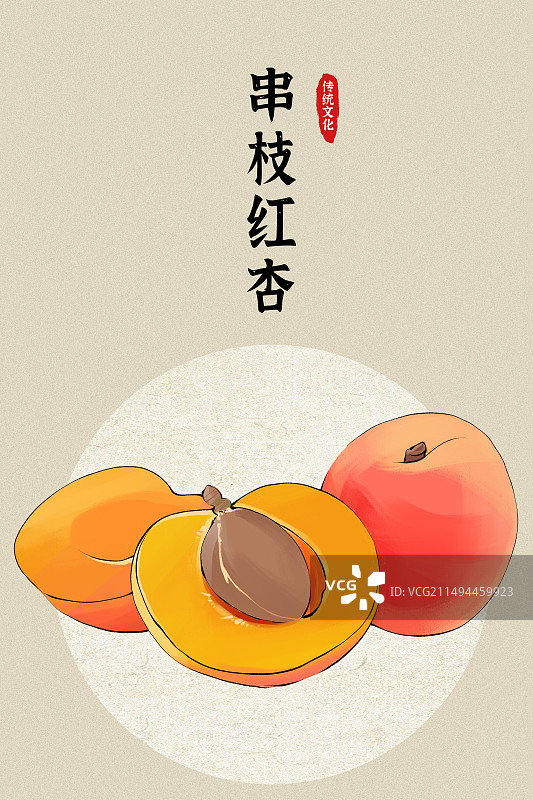 河北串枝红杏土特产水果插画图片素材
