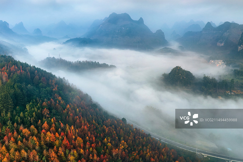 德保红枫叶图片素材