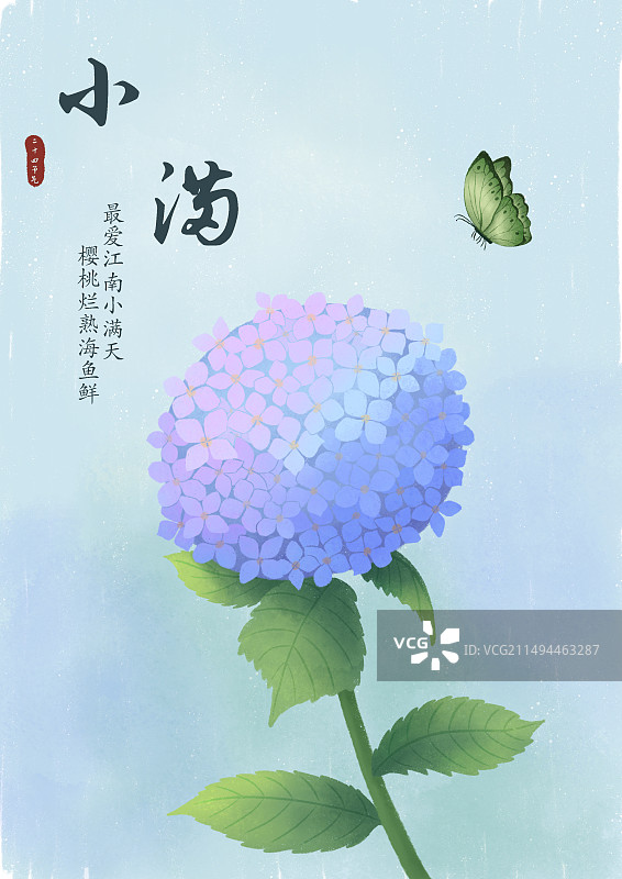 一朵绣球花和一只蝴蝶图片素材