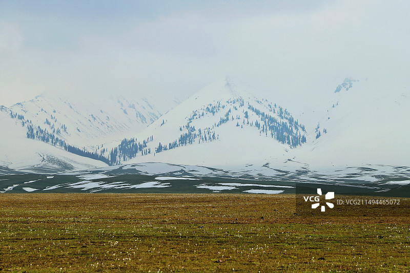 那拉提草原和雪山图片素材