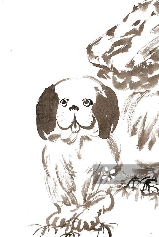 岩石下的小狗图片素材