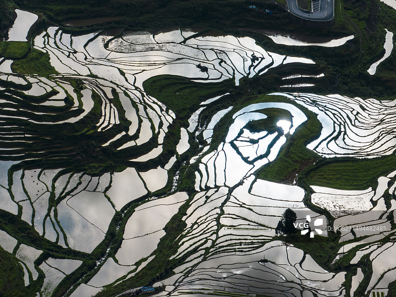 酉阳花田梯田云雾缭绕风景如画图片素材