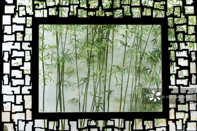 苏州园林窗景框景艺术：网师园窗景中的绿竹图片素材