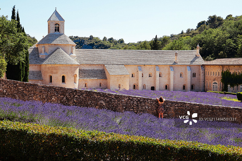 普罗旺斯七月图片素材