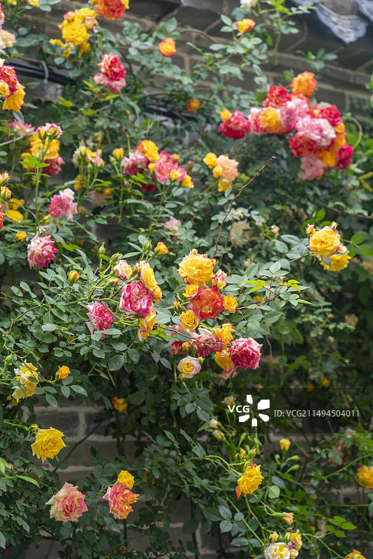 新沂窑湾古镇美景图片素材