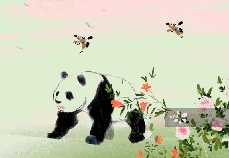 熊猫，大熊猫，国宝，中国风，视频，动画，水墨，传统文化图片素材