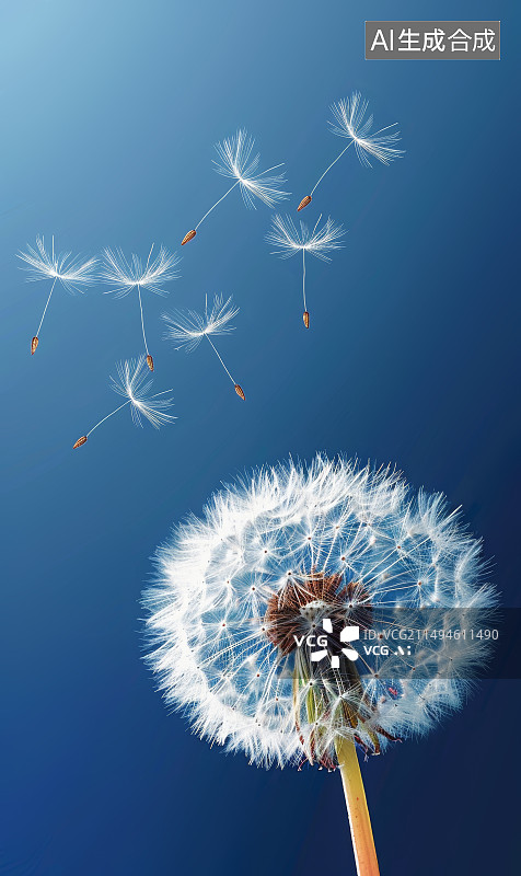 【AI数字艺术】蓝天背景，一粒蒲公英种子离开母亲，飞向远方特写图片素材