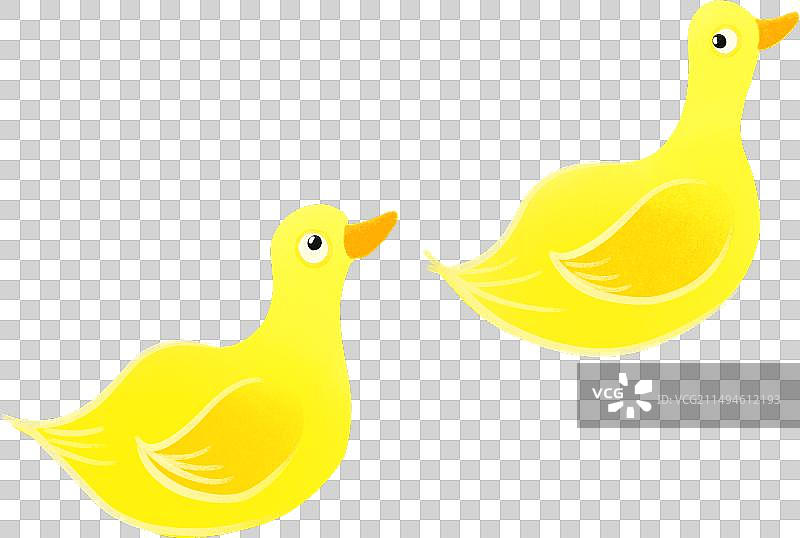 两只可爱小黄鸭动物手绘插画儿童插画图片素材