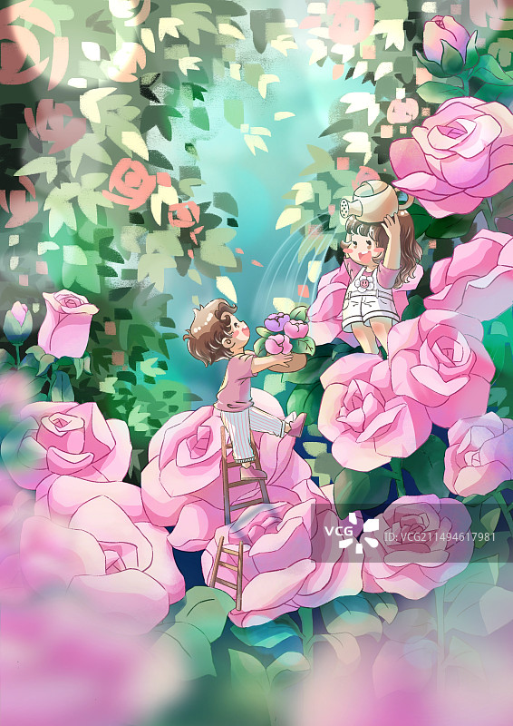 花花系列-粉色玫瑰图片素材