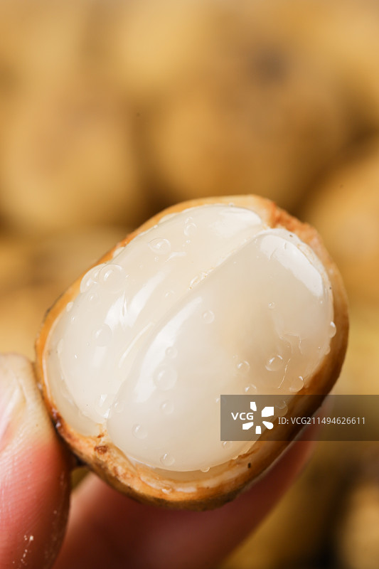 龙宫果图片素材