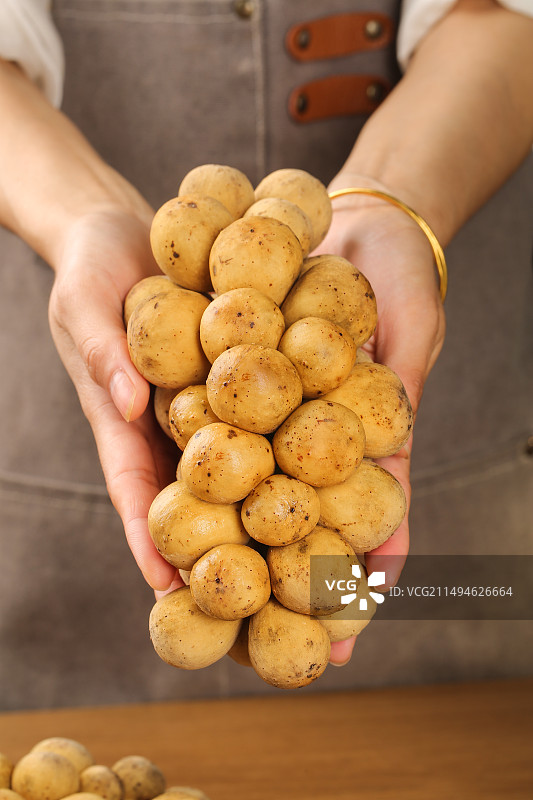 龙宫果图片素材