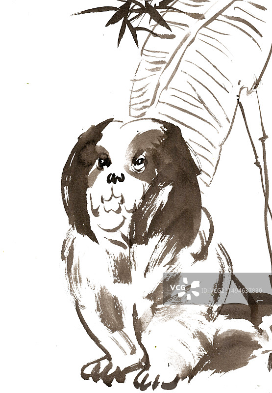 芭蕉叶下的小狗图片素材