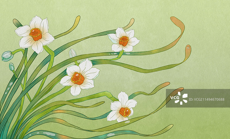 水仙花图片素材