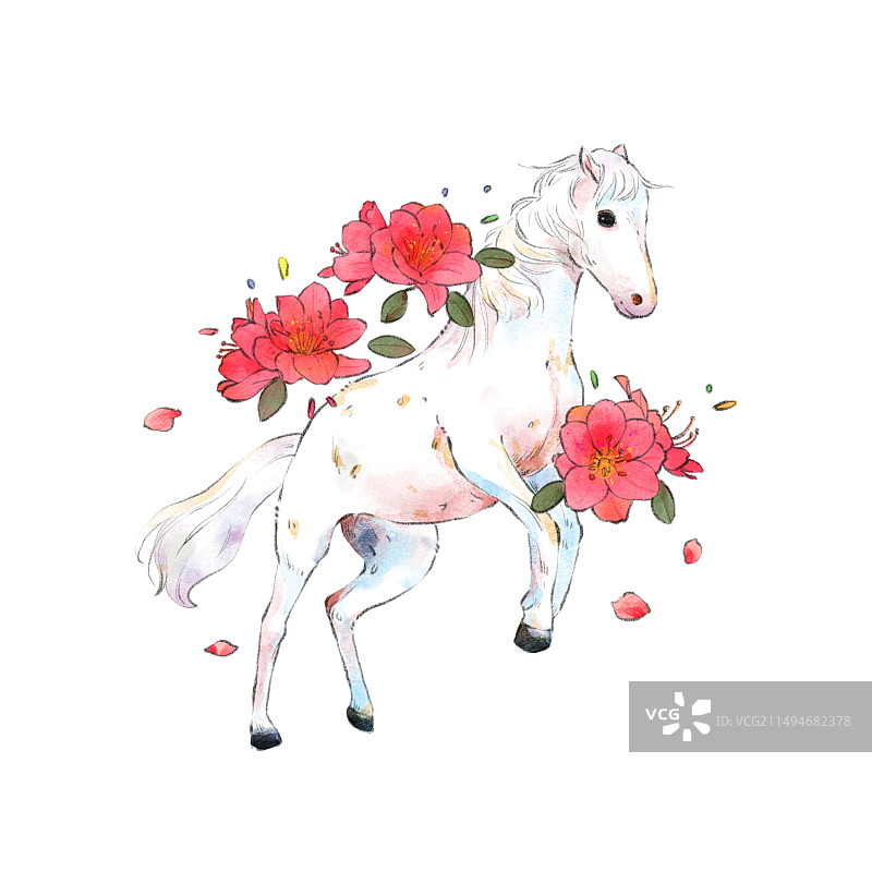 白马和海棠花图片素材
