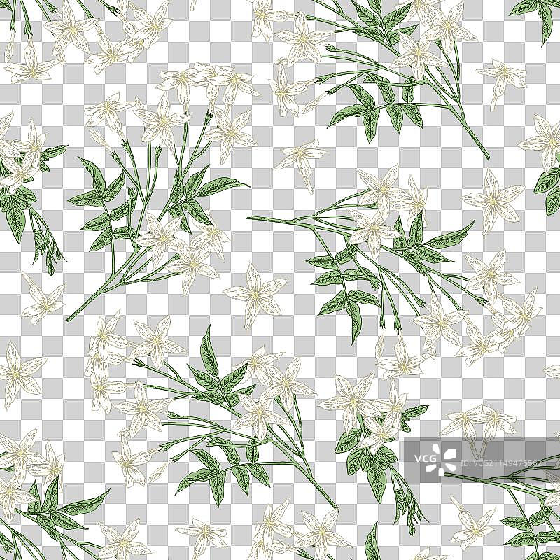 白色茉莉花无缝图案图片素材