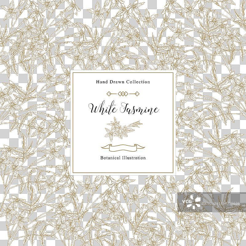 白色茉莉花背景图片素材