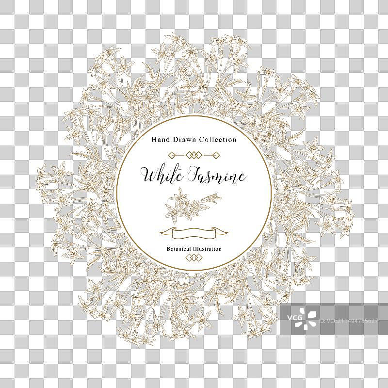 白色茉莉花背景图片素材