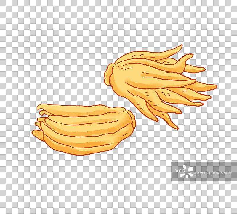 佛手元素图片素材