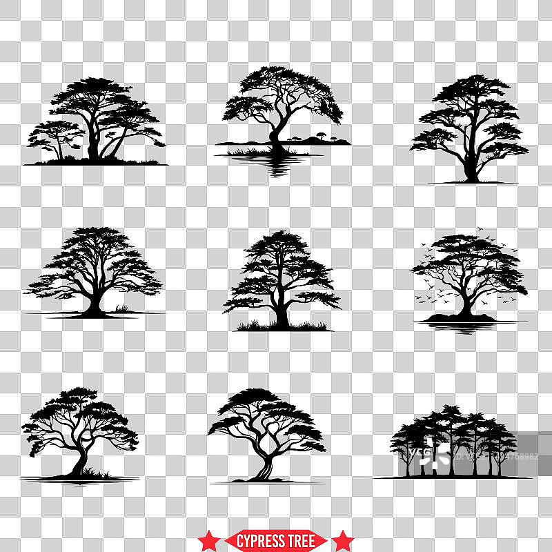 乡村风格柏树剪影图案图片素材