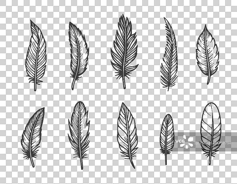 白色背景手绘羽毛涂鸦图片素材