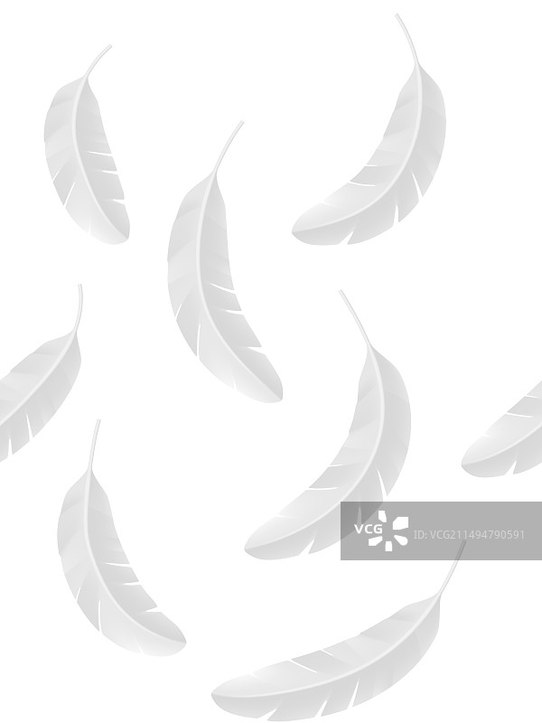 白色背景上的羽毛无缝图案图片素材