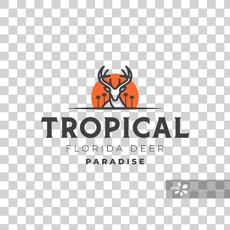 简约热带佛罗里达鹿线条艺术图标标志图片素材