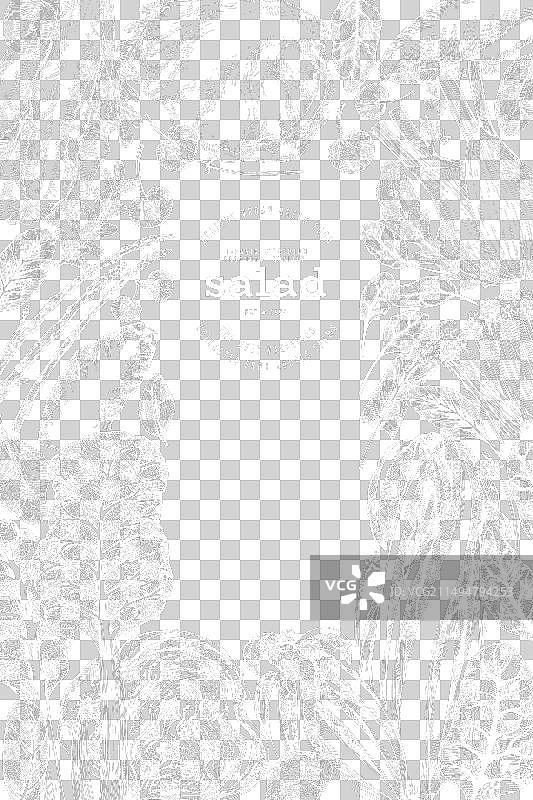 手绘绿色蔬菜设计模板图片素材