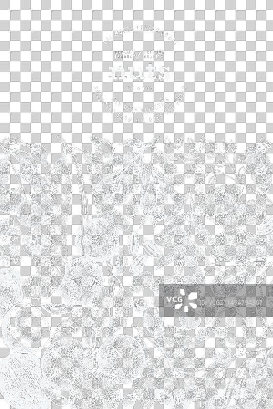 手绘坚果树枝和果仁模板图片素材