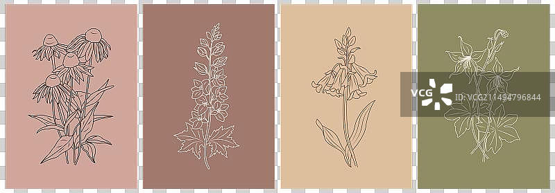 一套野花轮廓画壁画图片素材