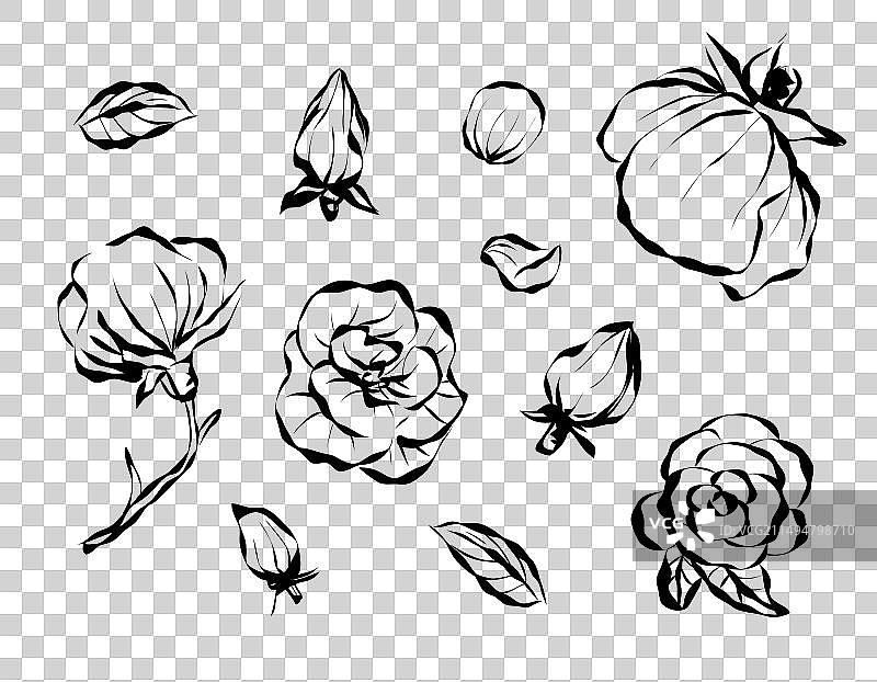带叶子的玫瑰花线条艺术涂鸦图片素材