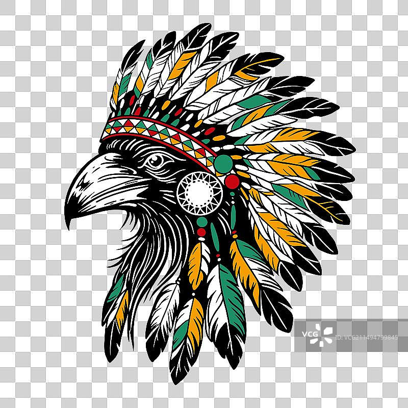 戴着印度传统头饰的渡鸦头部图片素材