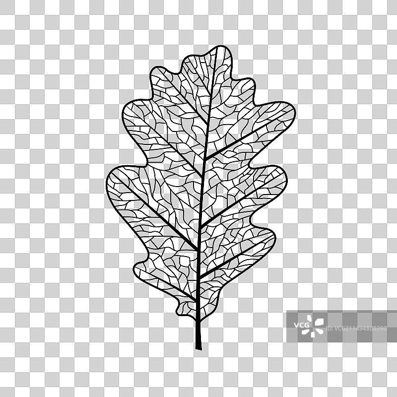 橡树叶徽章图片素材