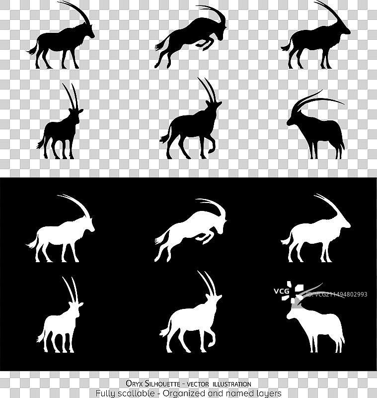 极简主义的羚羊剪影国家图片素材