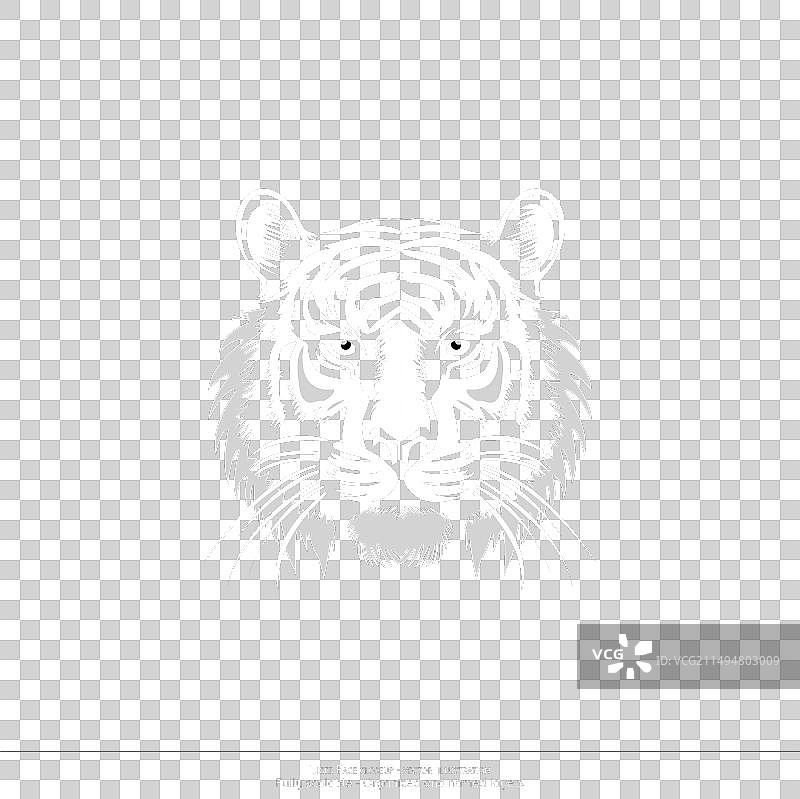 老虎面部特写图片素材