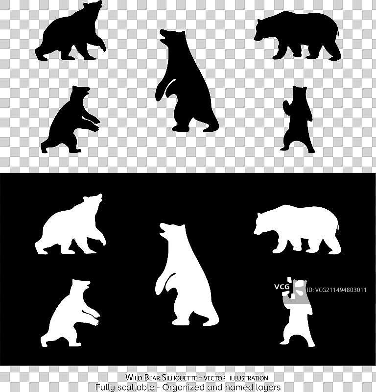 野生熊剪影动物轮廓合集图片素材