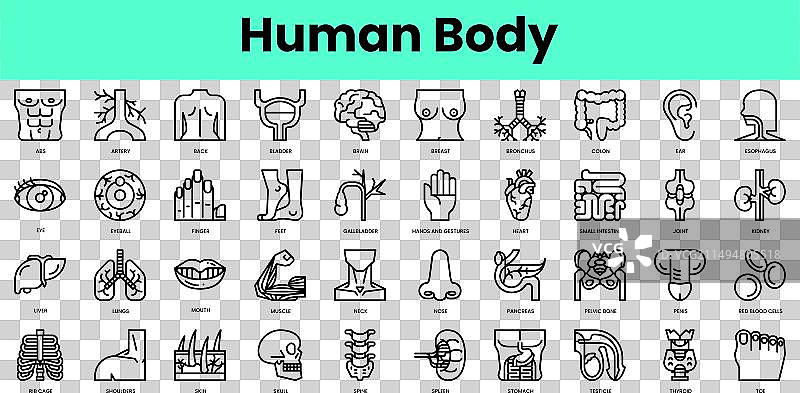 人体图标线性风格图标合集图片素材