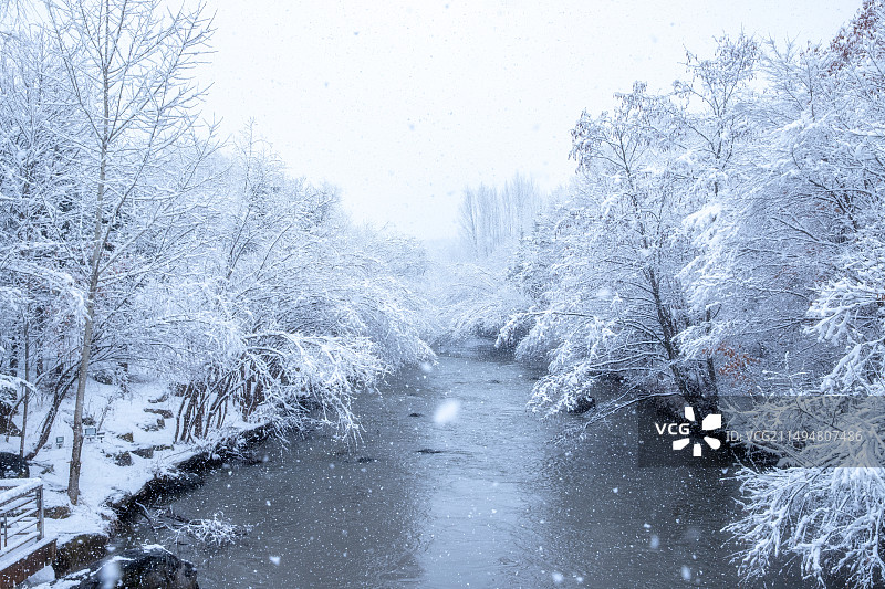 东北林区3月底下雪后的场景图片素材
