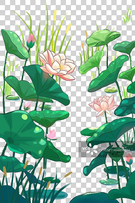 手绘夏日荷塘荷花图片素材